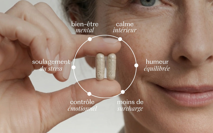 thewomencircle_fr